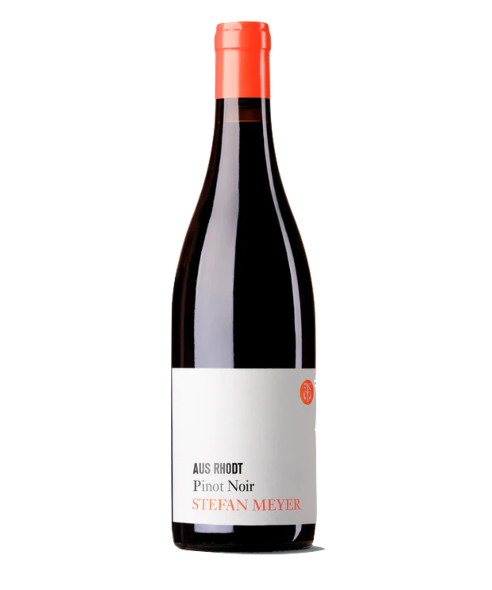 Meyer Pinot Noir aus Rhodt